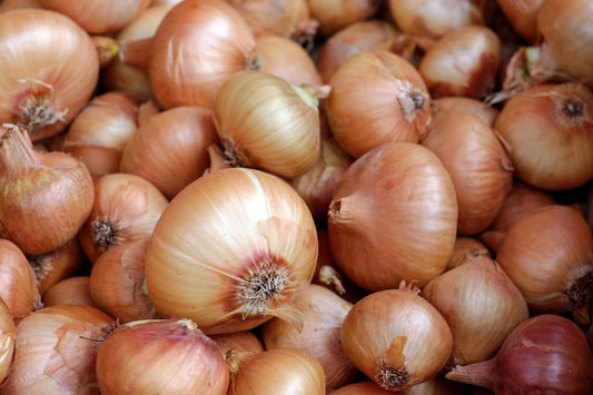 Onion 'Signum'