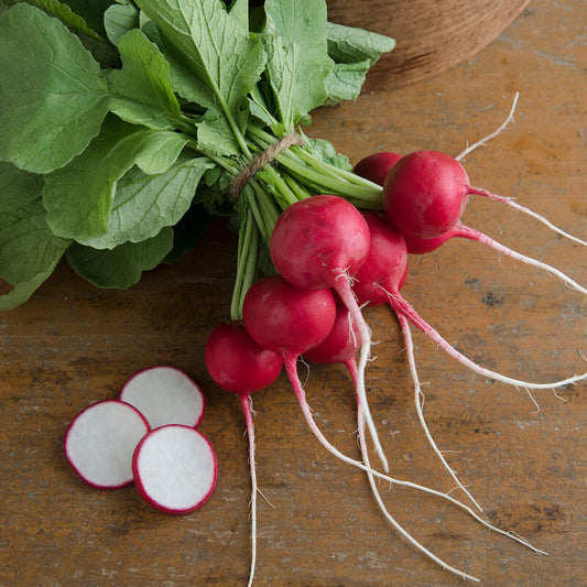 Radish 'Gigante siculo' - Raphanus sativus