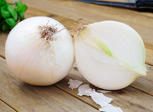 Summer White onion 'Alibaba'