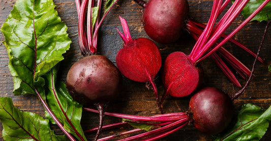 Beetroot - Cylindrica - 'Kahira' - Beta vulgaris