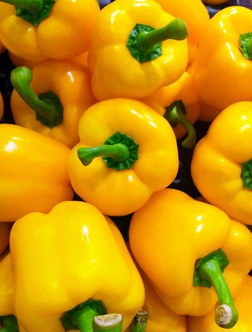 Yellow Asti Square Pepper