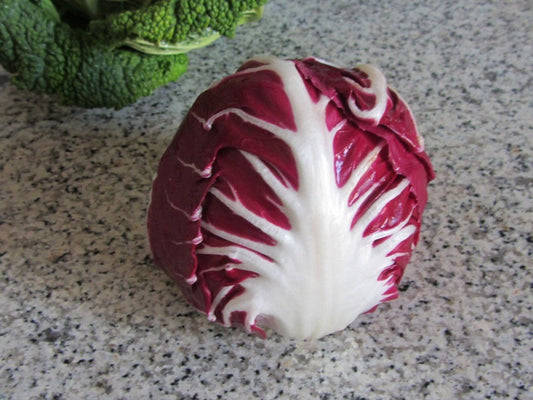 Baby Leaf 'Radicchio Palla Rossa'