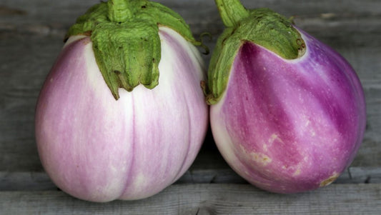 Round White Aubergine Tinged With Pink