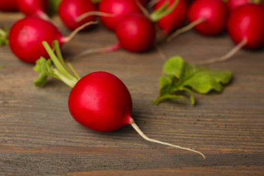 Radish 'Ria' - Raphanus sativus