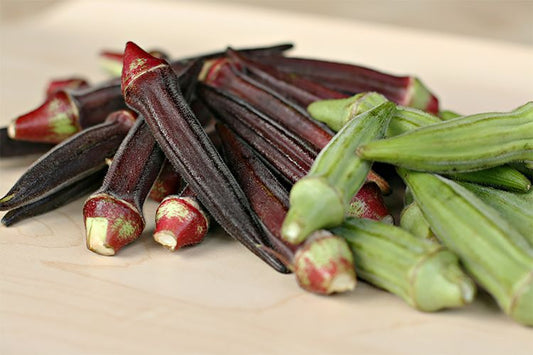 Okra 'Burgundy'