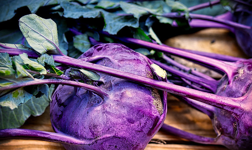 Kohlrabi Purple Leaves