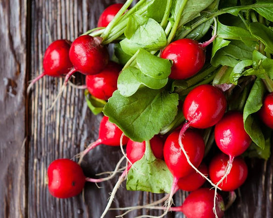 Radish 'Carmen'