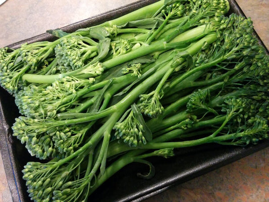 Broccoletto 'Centoventino'